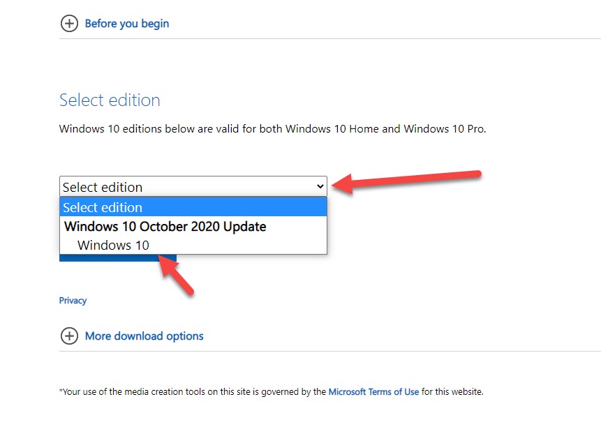 Download Windows 10 ISO File