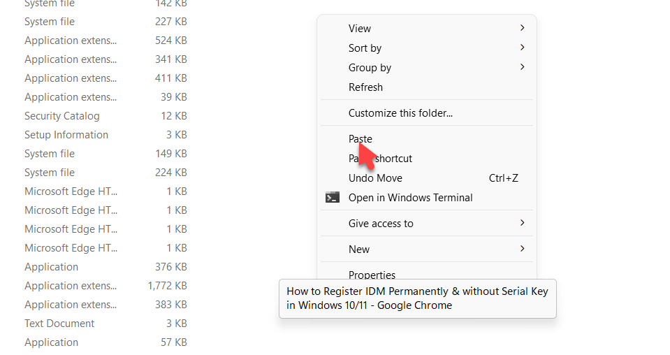 Register IDM without Serial Key in Windows 11