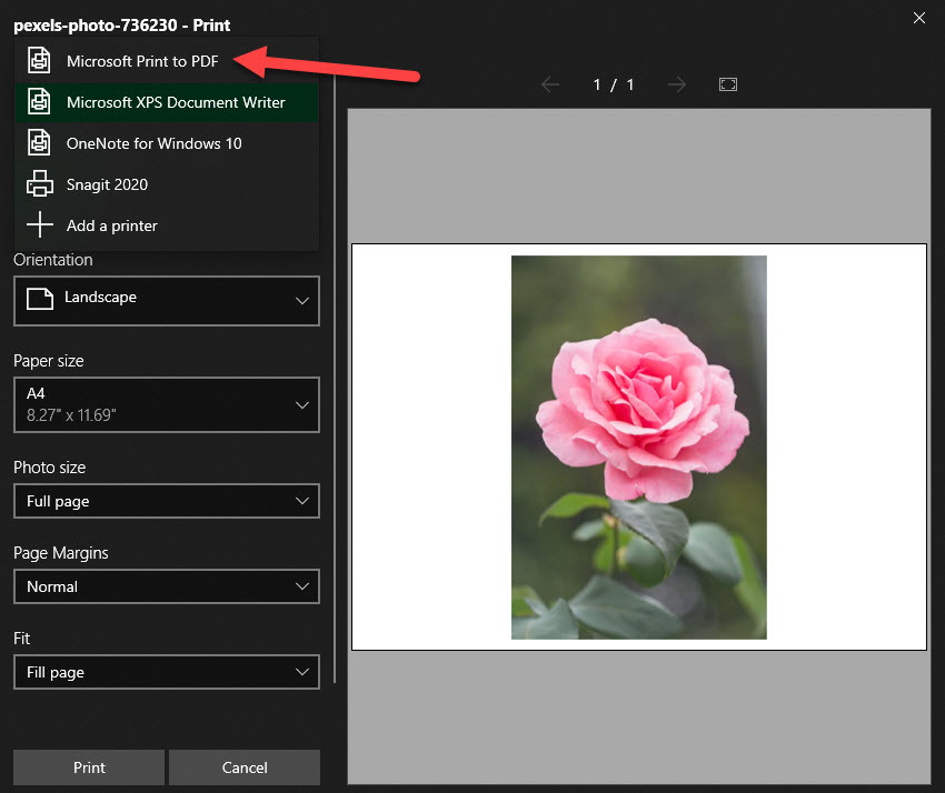 Convert JPG to PDF on Windows 11