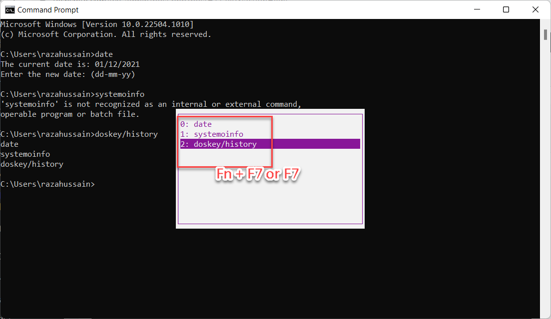 Check Command Prompt History