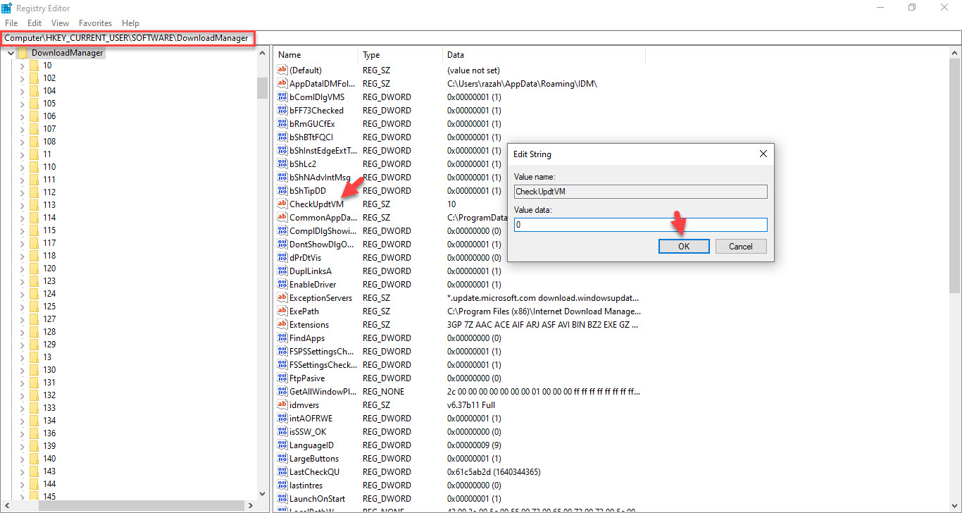 IDM Registered with Fake Serial Number