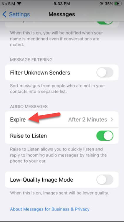 Save Audio Messages on iPhone