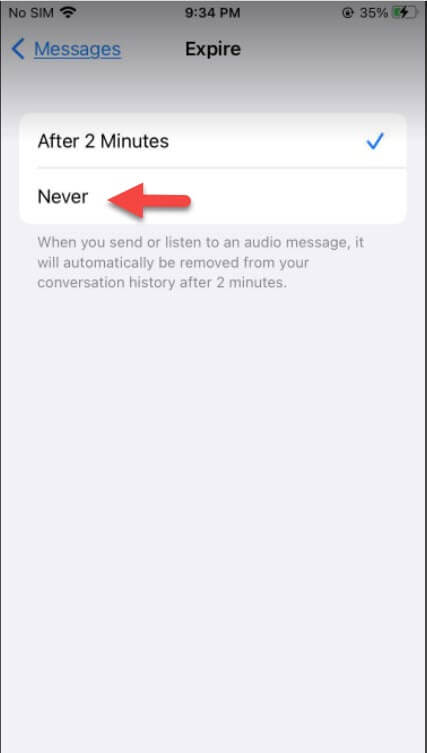 Save Audio Messages on iPhone