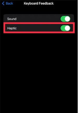 Enable or Disable Keyboard Vibration on iPhone