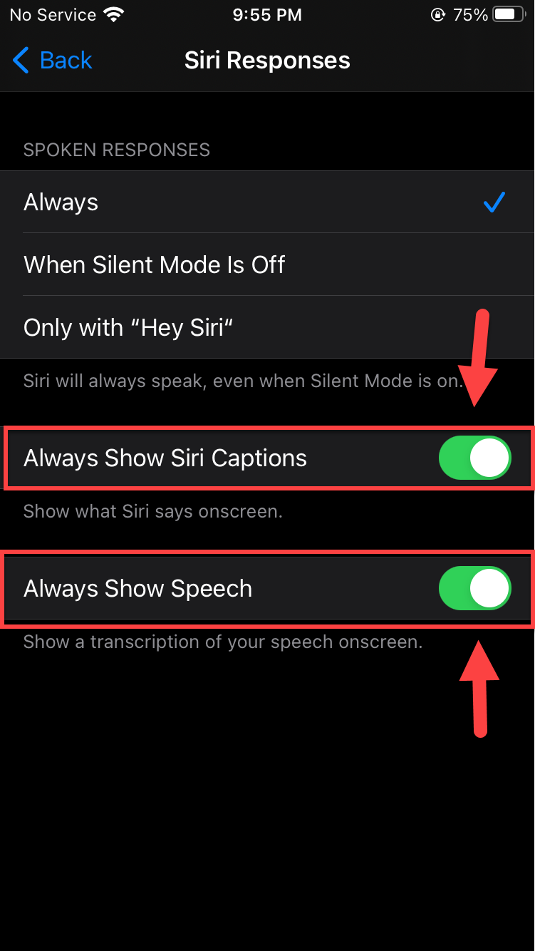 Use Siri Offline on iPhone and iPad