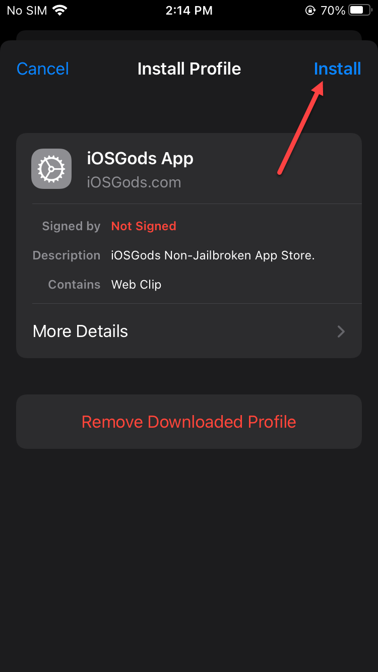 Install iOSGods on iPhone