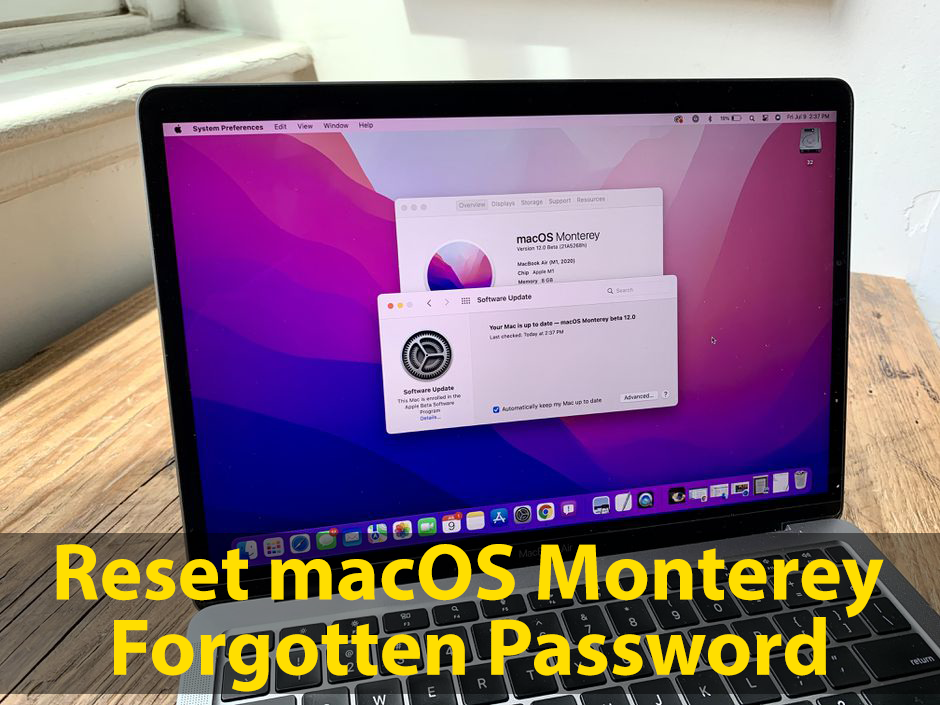How to Reset macOS Monterey Forgotten Password? (3 Easiest Methods ...