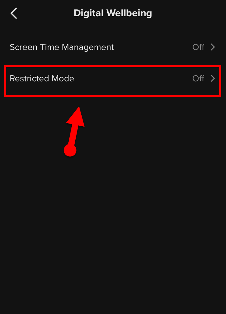 How to Turn ON Restricted Mode in TikTok on iPhone and Android
