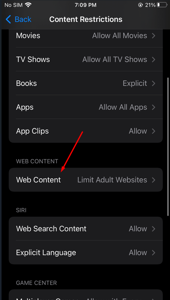How to Block Websites in Any Browser on iOS 16