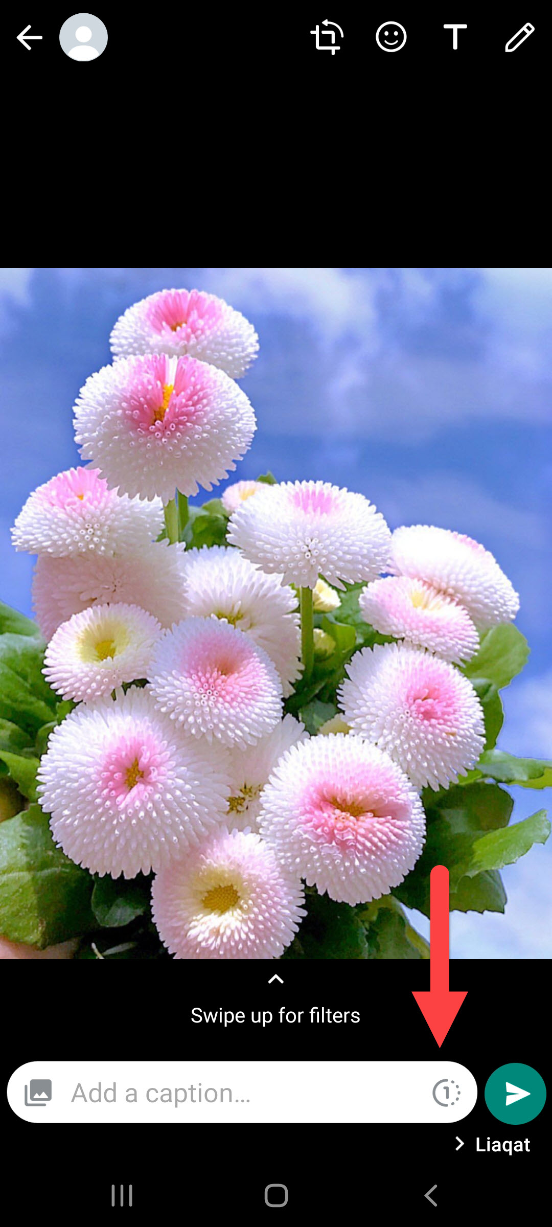 Send View Once Photo on WhatsApp