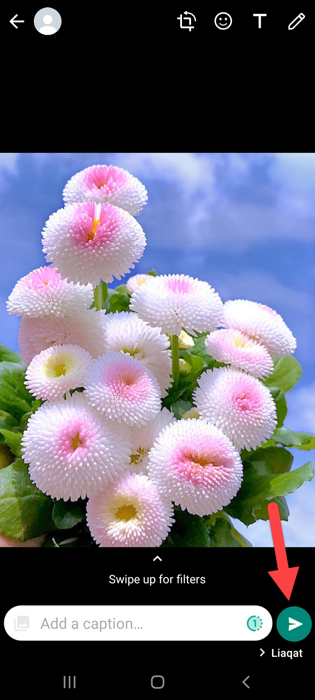 Send View Once Photo on WhatsApp