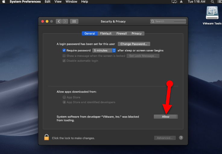 Install Guest Tool on macOS Catalina on VirtualBox