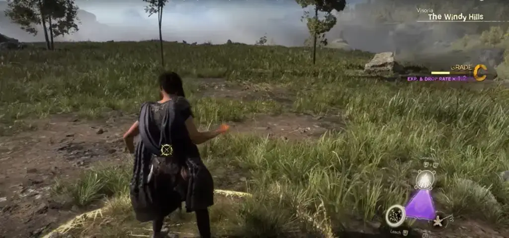 Activities to Pursue Within the World