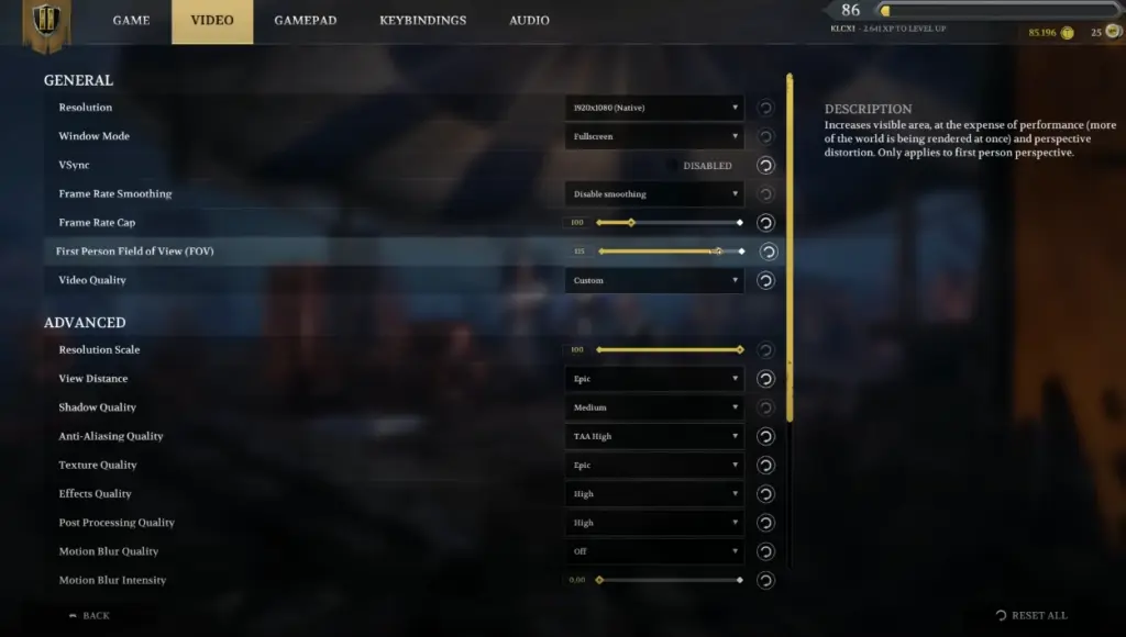 Adjust FOV in Settings