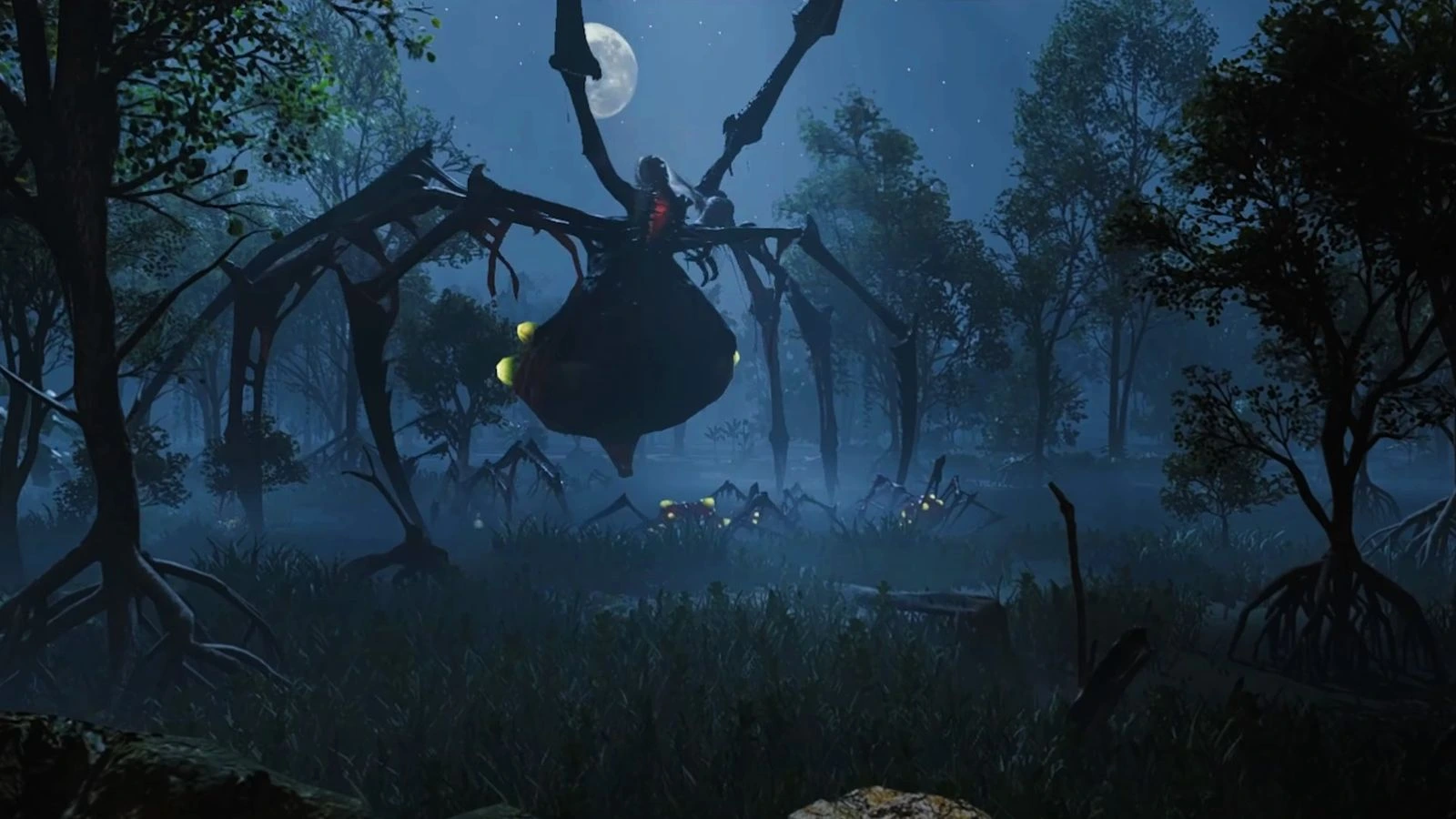 Ambitious Roadmap Ahead