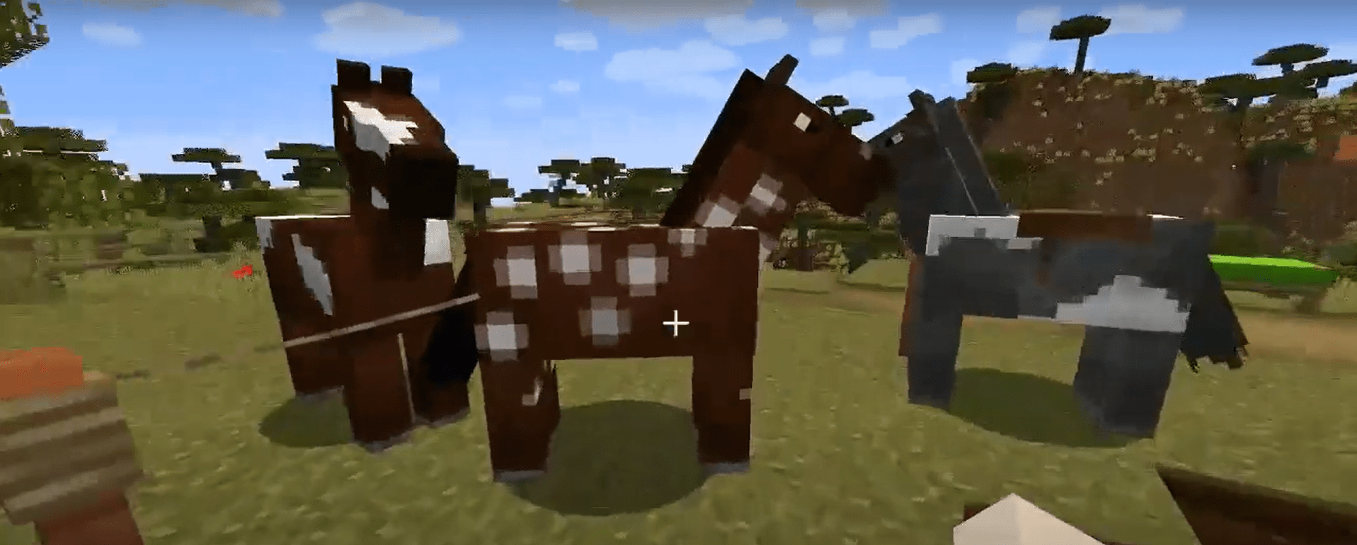 Become a better player in Minecraft JAVA Edition PC- Tame Creatures