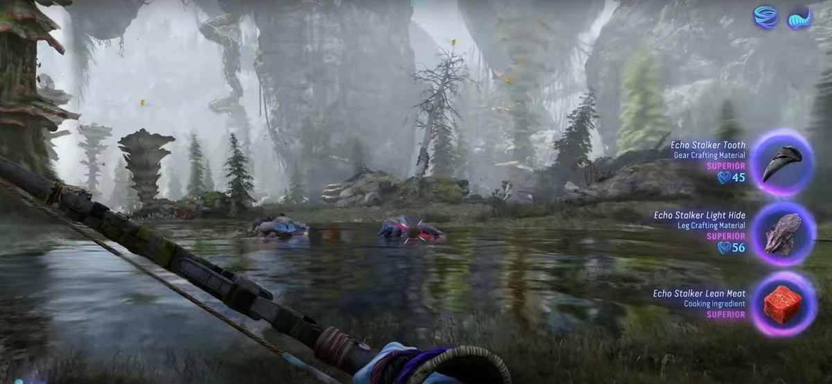 Switch bows depends on the animal