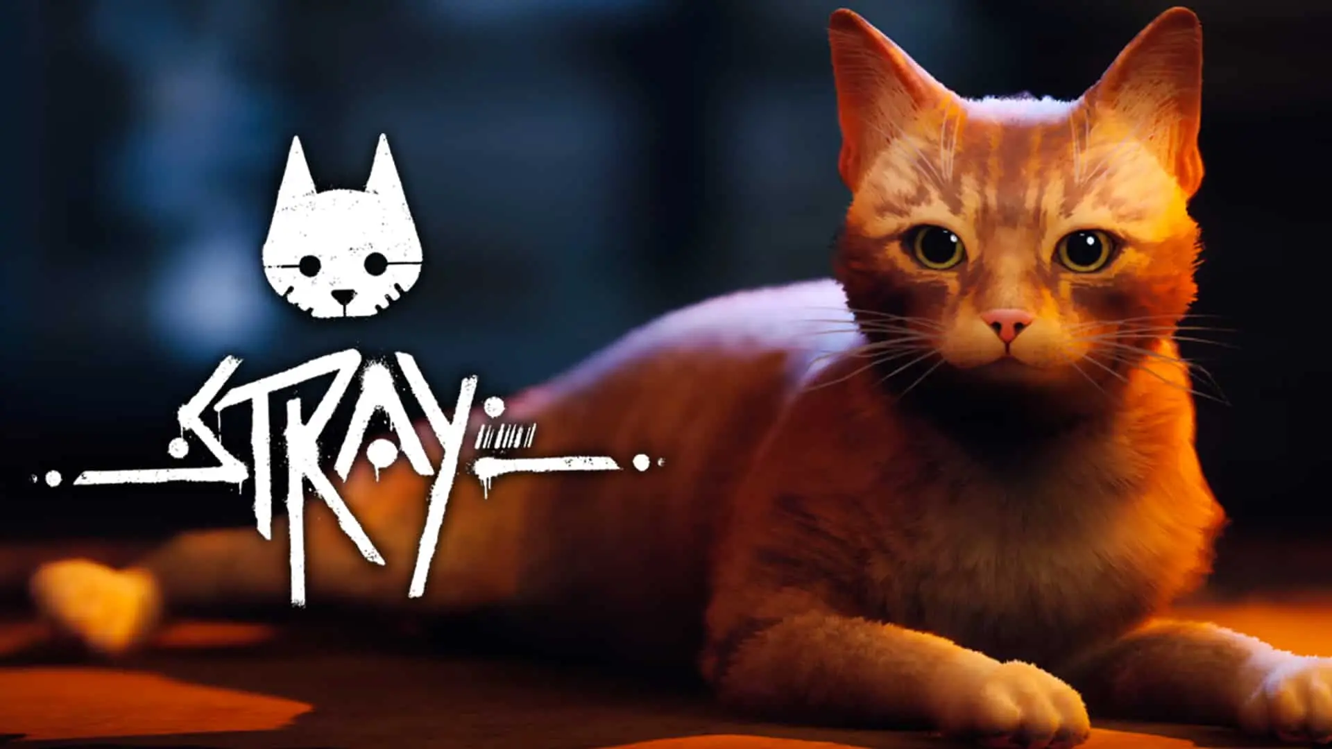 Best Tips & Tricks in Playing Stray