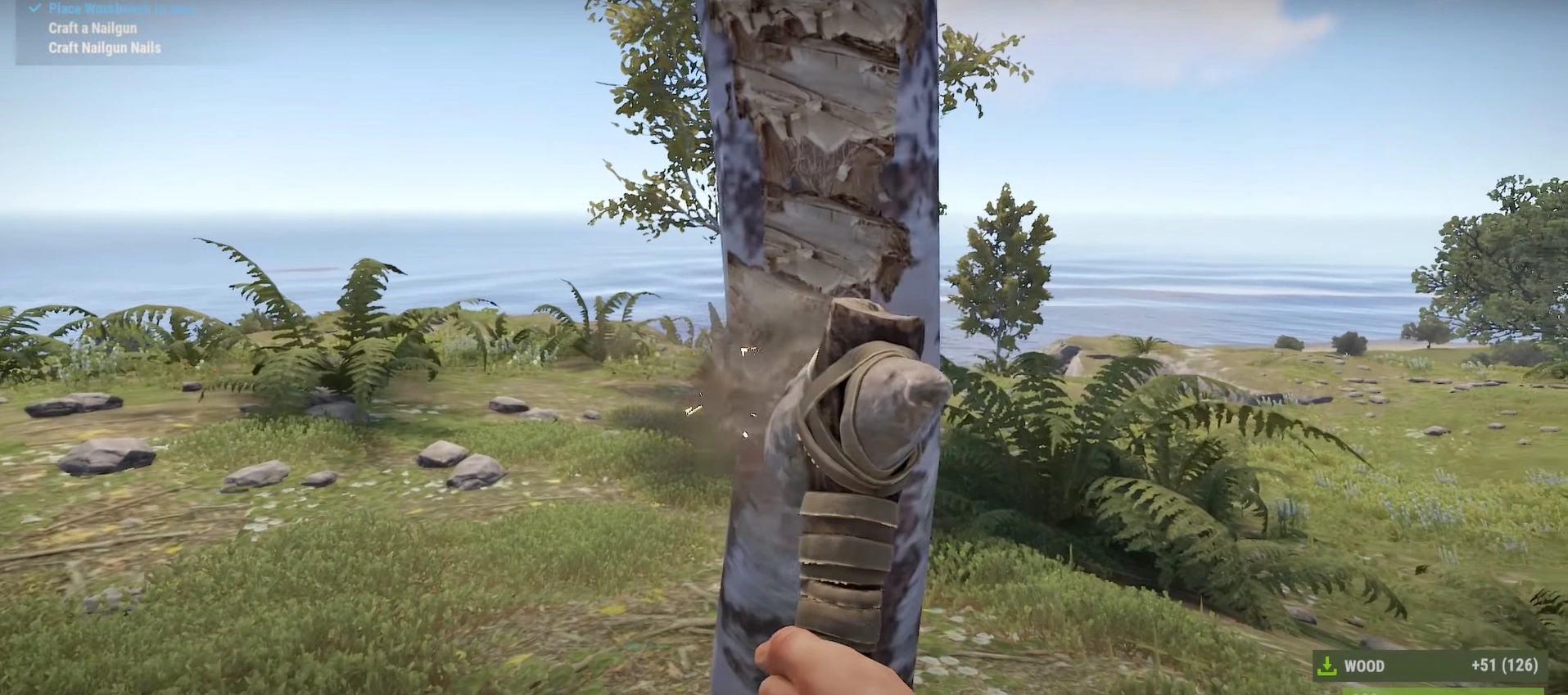 Collecting an Abundance of Wood