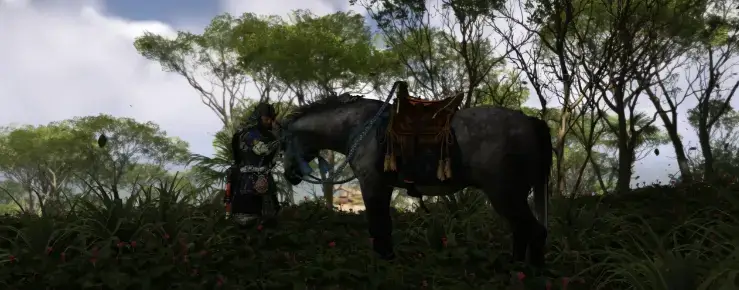 Director’s Cut Review Scores