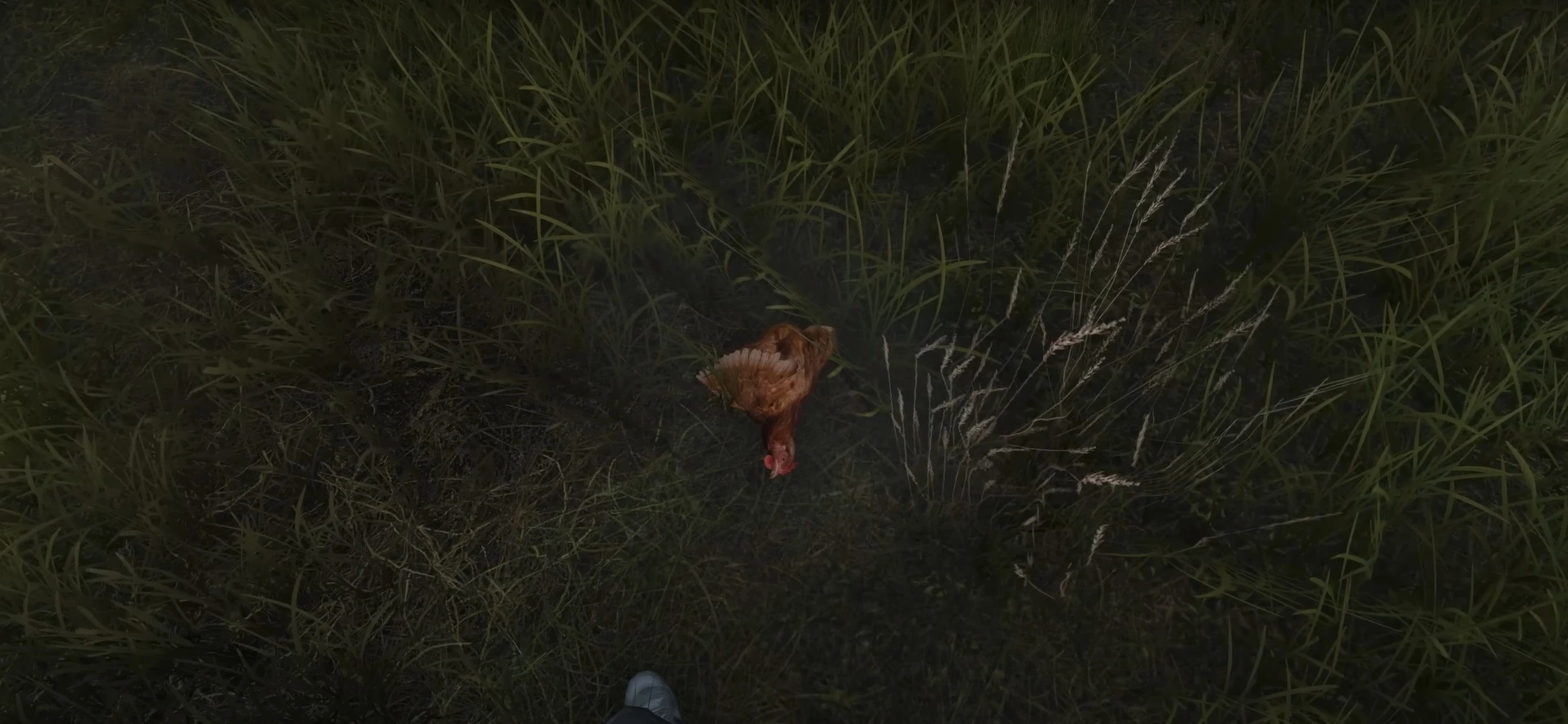 Finding Food When You