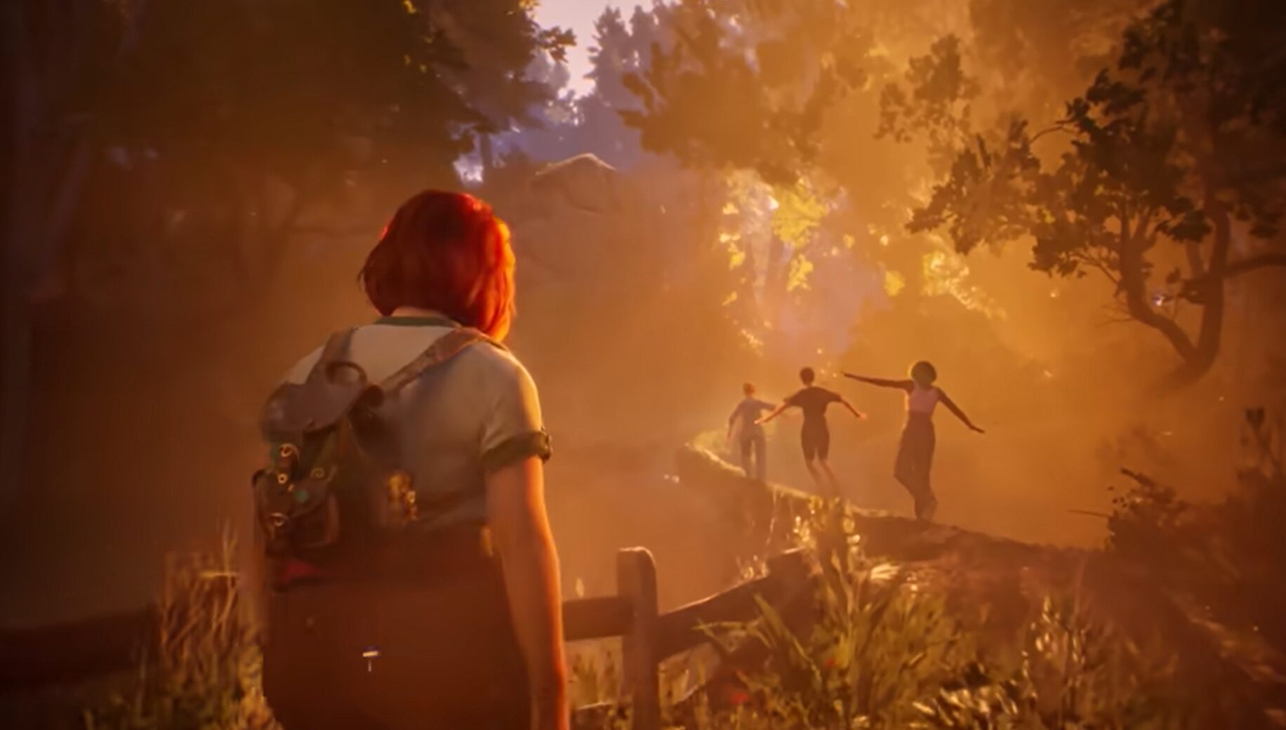 Visual Fidelity