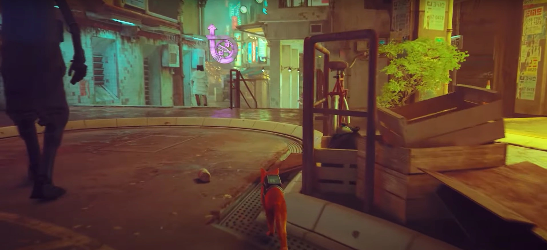 Tips & Tricks in Playing Stray- Nothing To Miss When Running