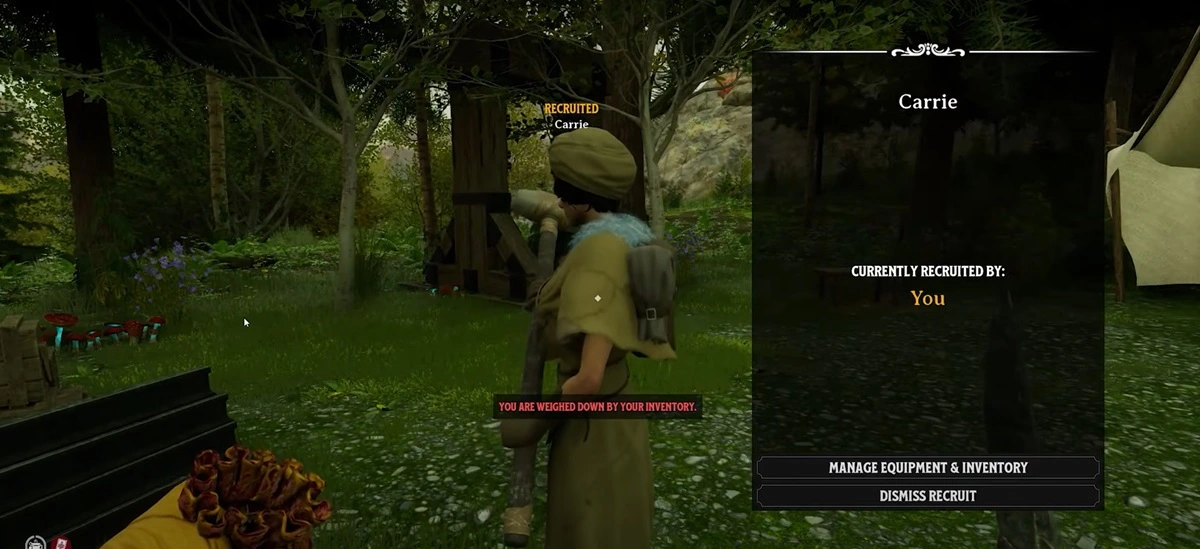 Nightingale Best Tips- Find A Companion