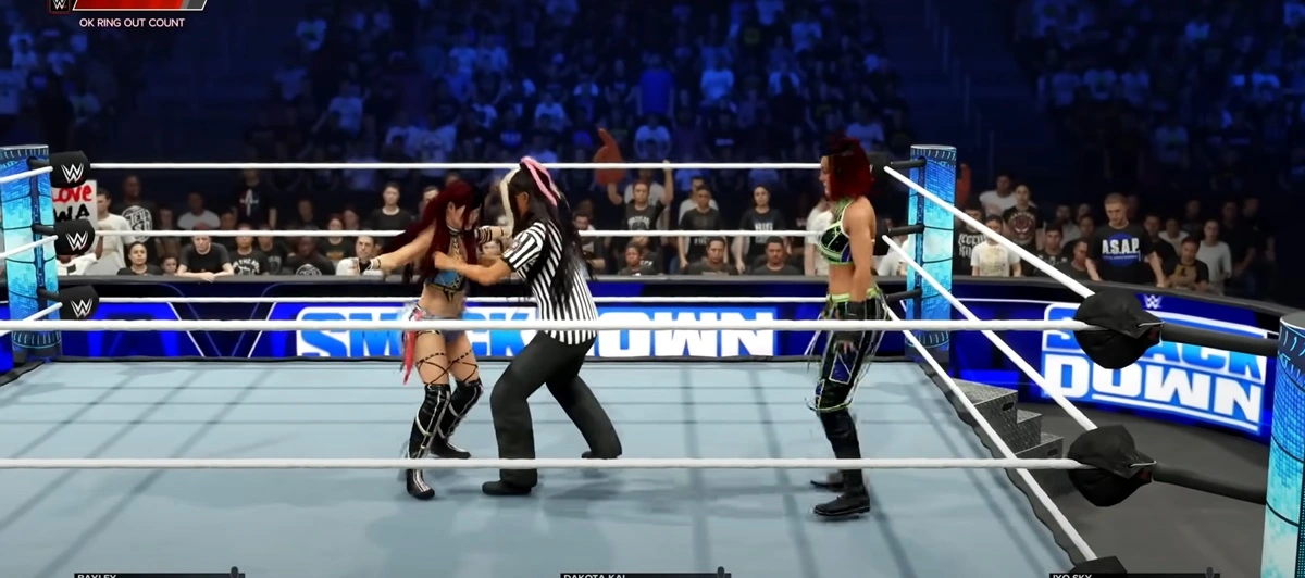 Special Guest Referee Matches 