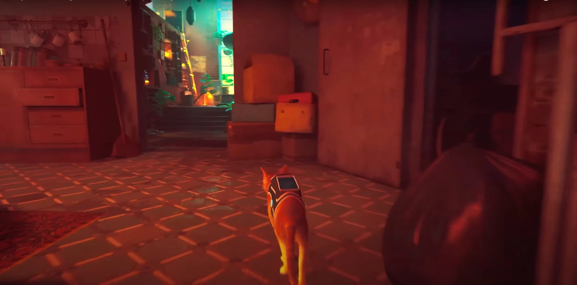 Stray- Is There Combat In Stray?