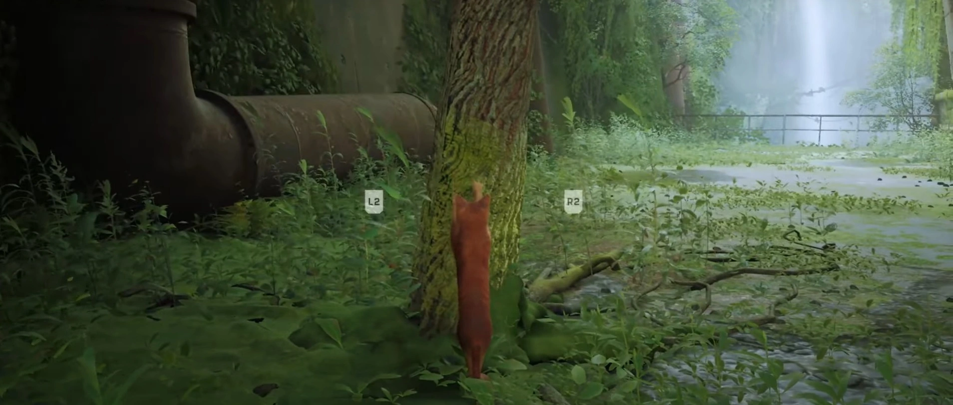 Stray- Playful Nature of Cats through Stray