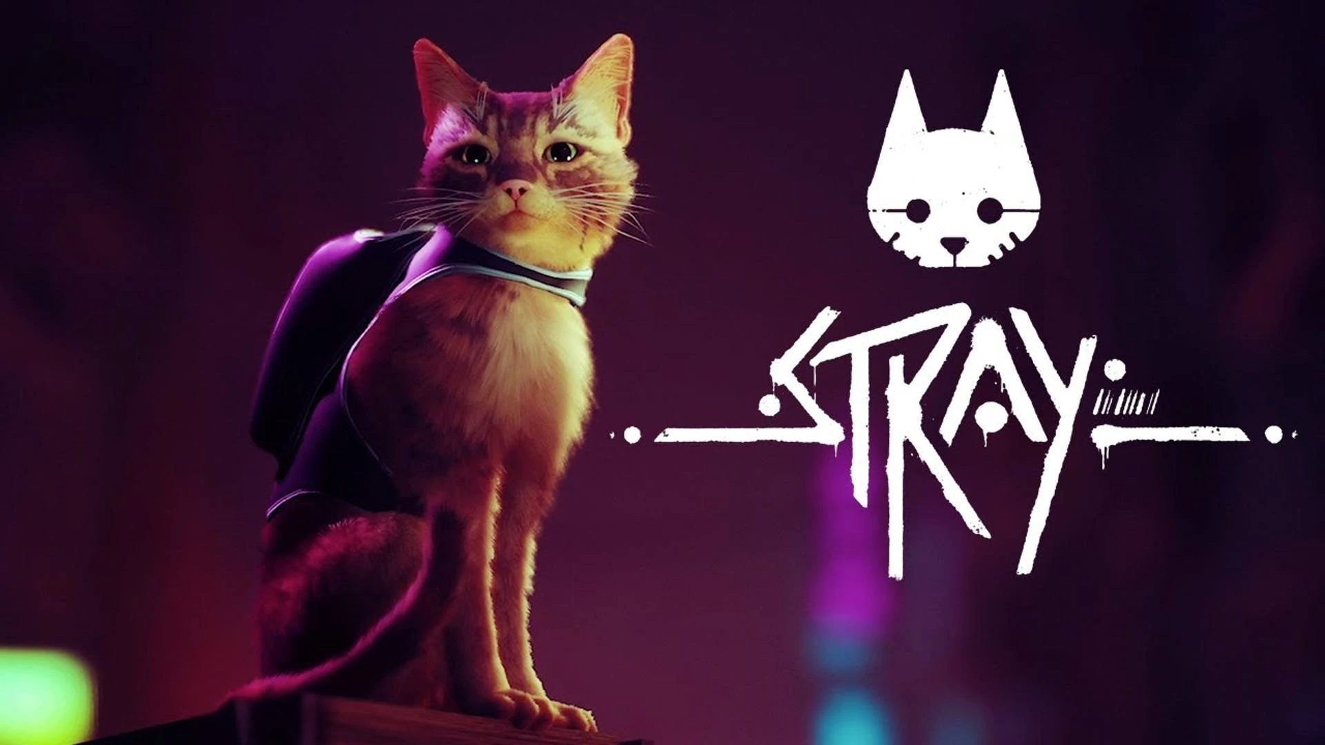 Stray: The BEGINNING Of A New Era In Gaming