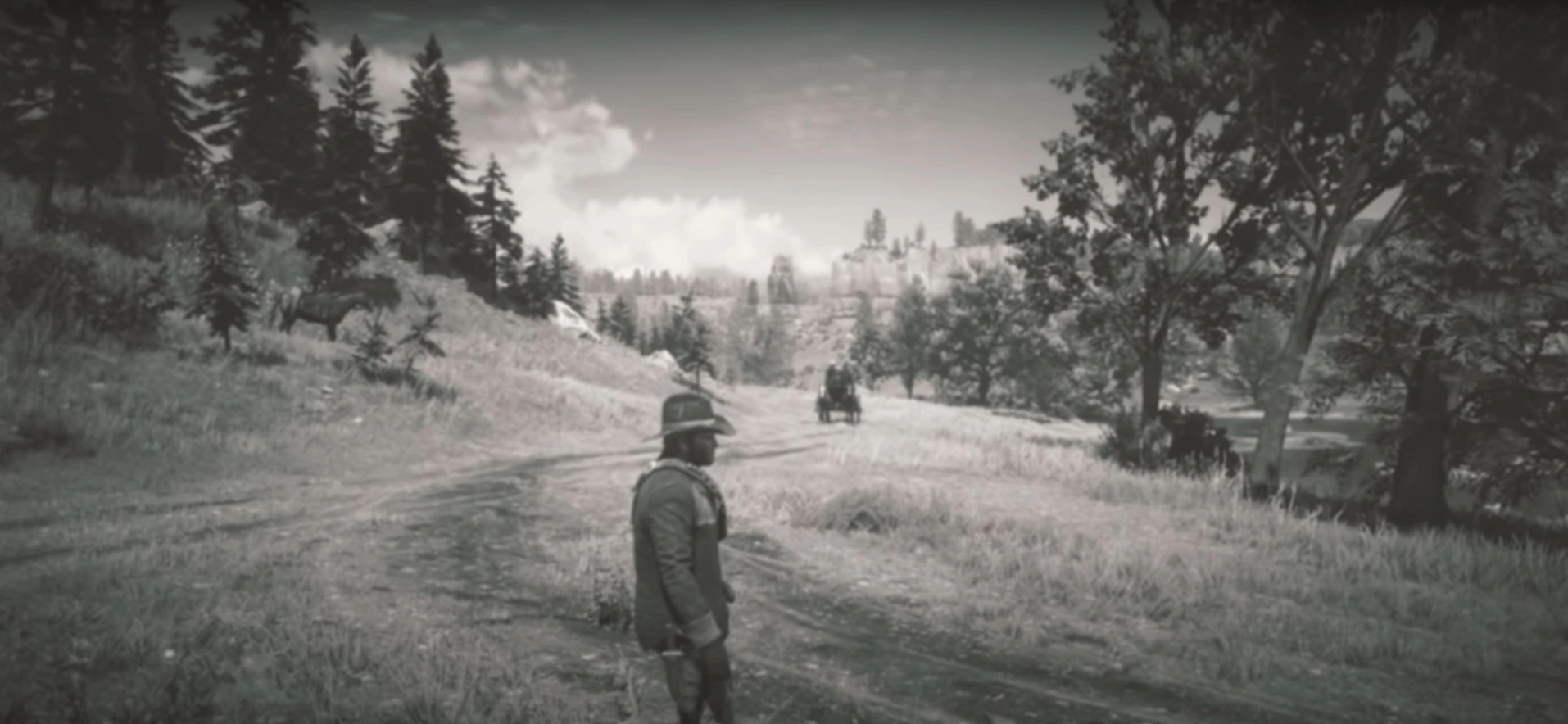 Red Dead Redemption Pro Tips- Understand Your HUD choices