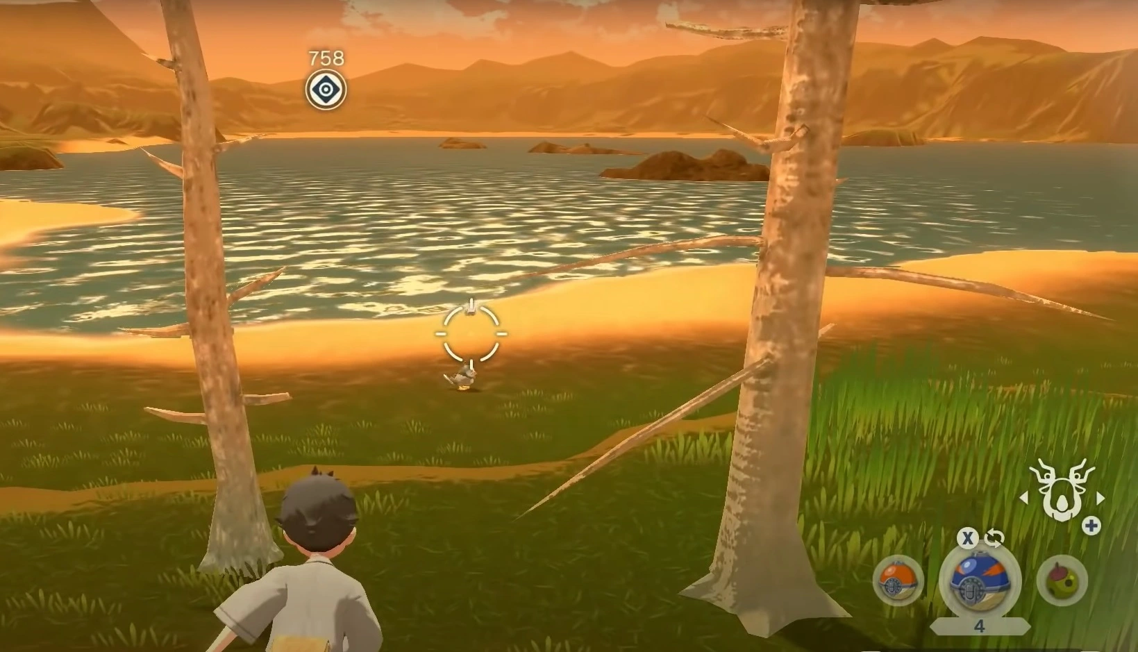 Tips For Completing Your Pokedex- Wait for the Pokemon to turn to back to you